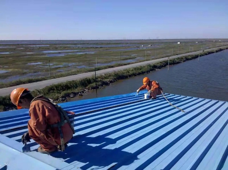 昌平彩钢瓦屋面防腐翻新